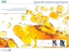 IBM - Glaspunkt Bestimmung Polymer